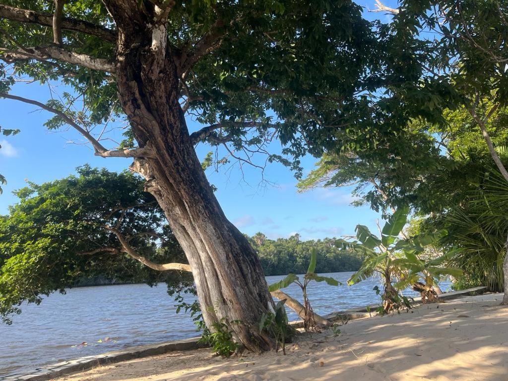 Pousada Paraiso Cultural Barreirinhas Dış mekan fotoğraf