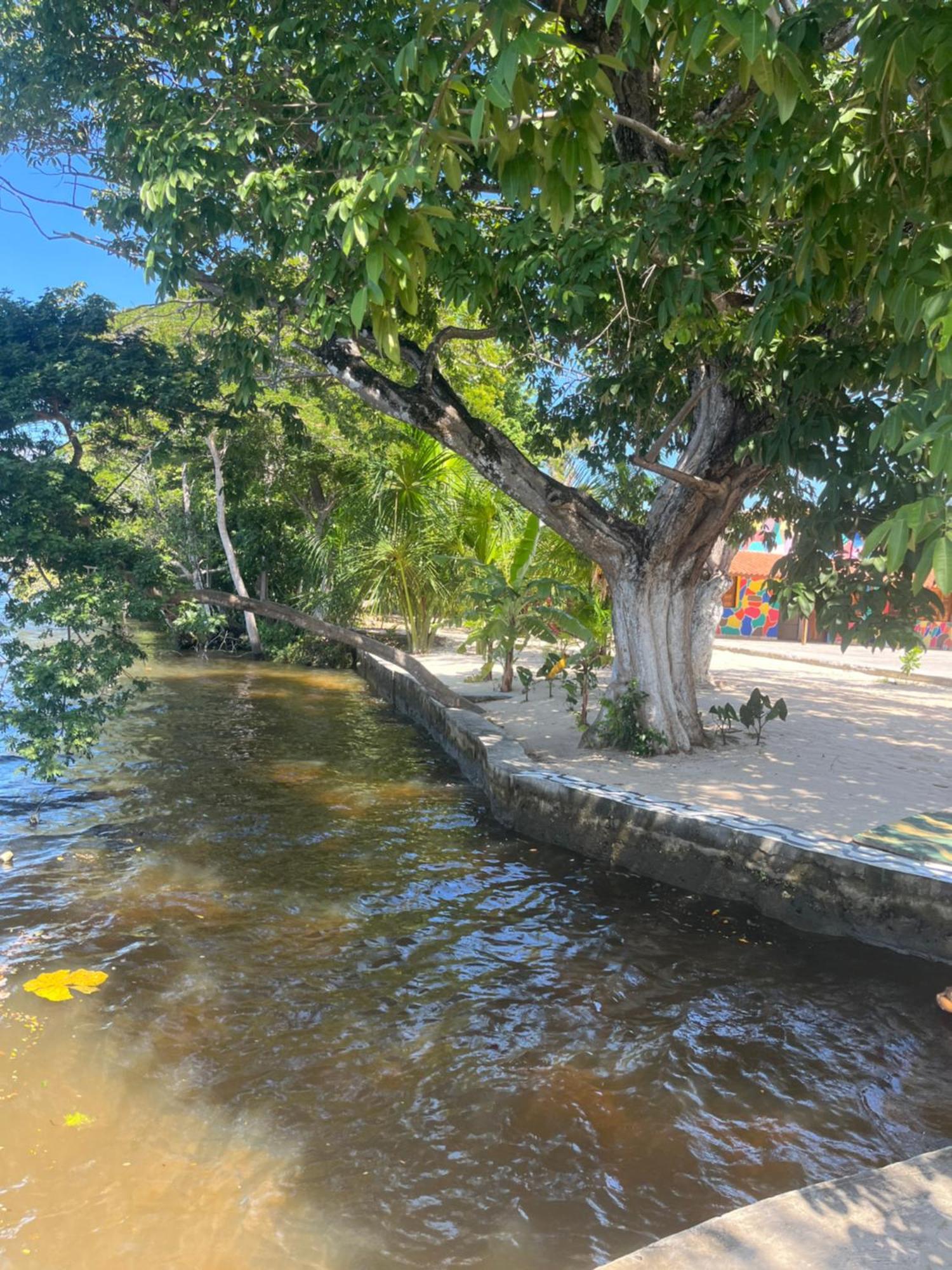 Pousada Paraiso Cultural Barreirinhas Dış mekan fotoğraf